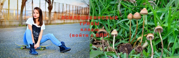 героин Новодвинск