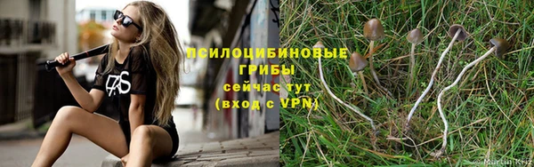 a pvp Новокубанск