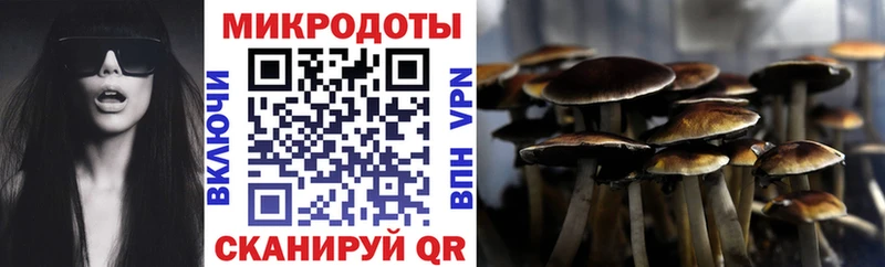 Псилоцибиновые грибы Psilocybe  Лысково 